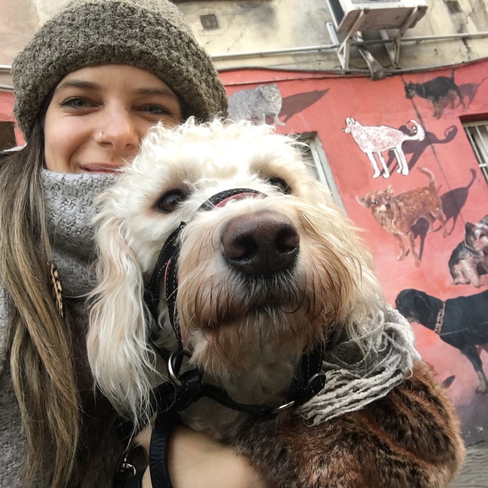 Meet your Posher, Masha